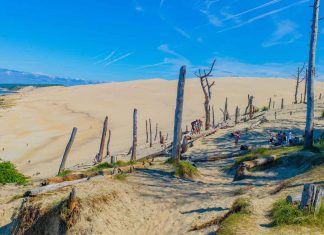 Things-to-Do-in-The-Guadalupe-Nipomo-Dunes-State-Park-on-thestuffofsuccess