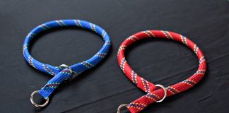 4 Problems with Dog Collars You Must Not Ignore!