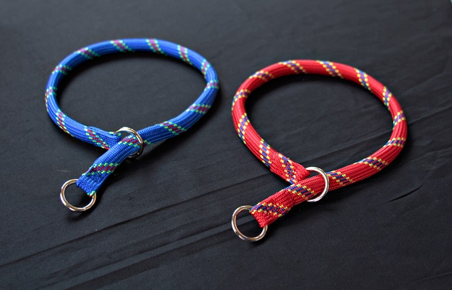 4 Problems with Dog Collars You Must Not Ignore!